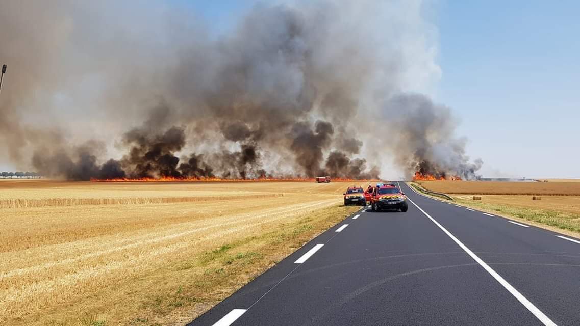 Gendarmerie_091's tweet image. #Ops | 🚨 Incendie de chaume en cours entre #Boutervilliers et #LaForetLeRoi en direction de #Richardville. Le @sdis91 est sur place. Pour l’heure, entre 25 et 30ha ont été détruits par le feu. Evitez absolument le secteur. 1/n