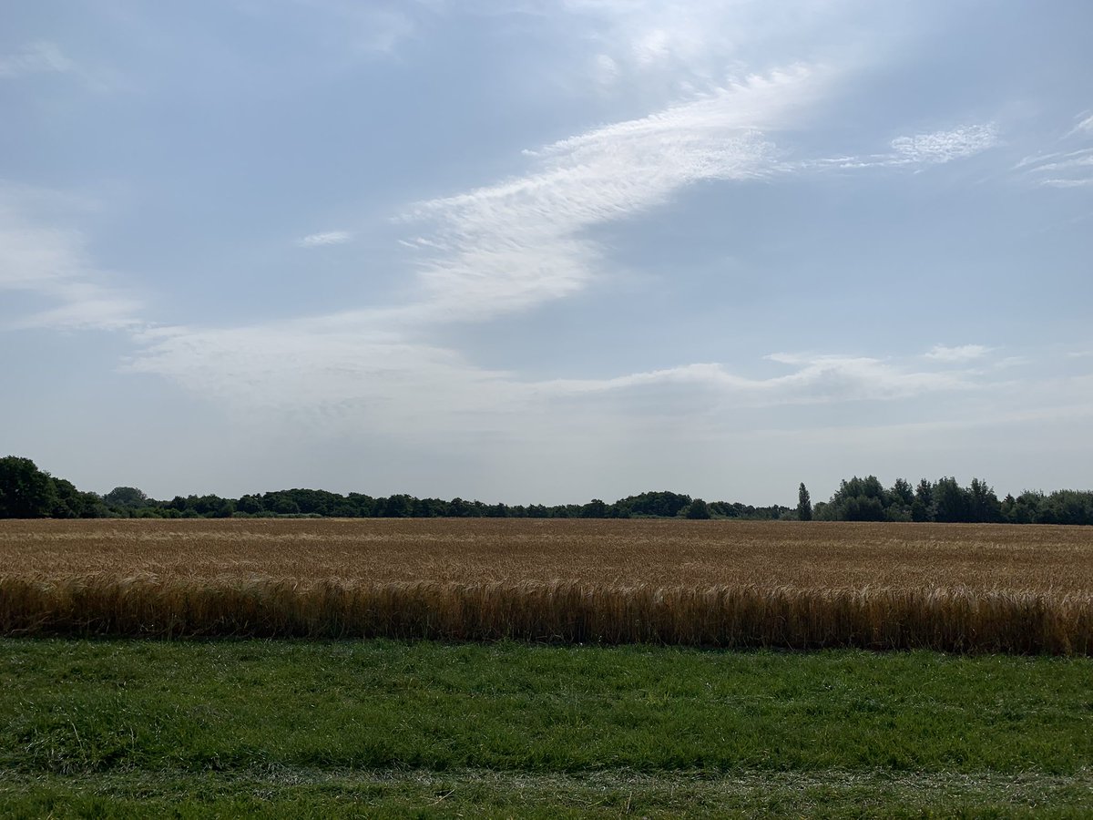 BerryHallFarm's tweet photo. Wow we have landed! First hut in place The  Farmhouse Hut at Berry Hall Farm Retreat. Busy busy getting the groundwork ready for our first visitors in August. What an amazing view you will have! #Glamping #Norfolk #glampingatitsfinest #glampinglife #norfolkbroads #relaxation https://t.co/CyUN4G6Qph