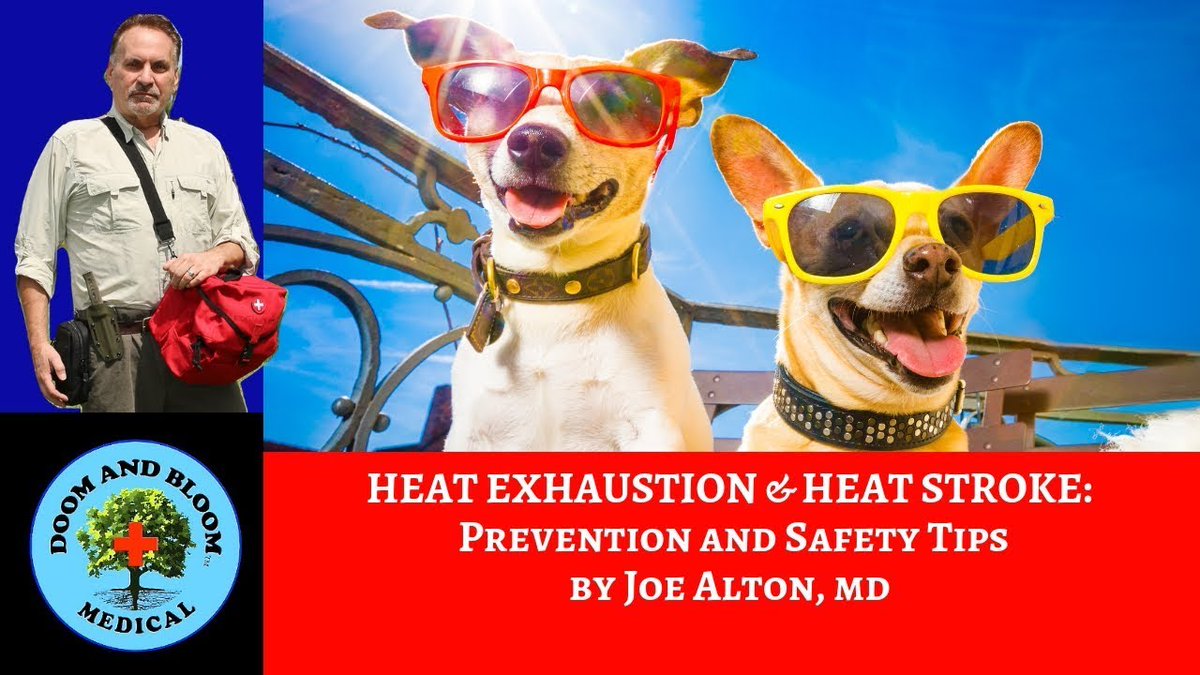 ResilientAmeric's tweet image. We were too hot to post during the heat wave...so here are some tips for the next bout of heat, from Dr. Bones (a presenter at the conference!):youtube.com/watch?v=nBXQUQ…