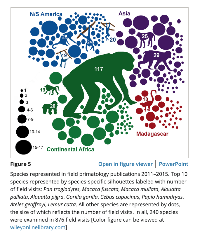 Michelle Bezanson tweet media