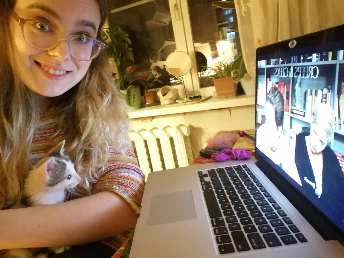 TomaMakoto's tweet photo. @GraceBaldridge as promised a picture of the lil kitten being a creep watching the #CreepsNGeeks twitch stream. https://t.co/ZUr1XtoVzT