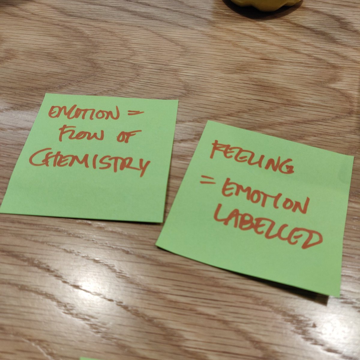 heliheartland's tweet photo. In neuroscientific terms:
Emotion = Flow of chemistry in our body
Feeling = Emotion labelled by us according to our cultural etc conditioning 
Superb training by @VeraTibi to our @100open team 🙌 https://t.co/5A1IkxQ3aO
