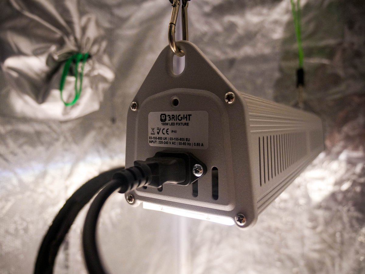 LUMii BRIGHT is a 100 W full spectrum white light LED fixture. BRIGHT runs much cooler than other grow lighting, helping you to reduce heat in your grow room.

Find out more - grow-lumii.com/category_produ…

#LUMii #LUMiiBRIGHT #LED #LEDLighting #GrowLighting #GrowLight #LEDGrowLight