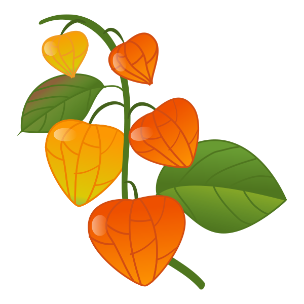 ほおずきのtwitterイラスト検索結果 古い順