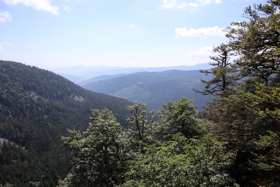Last stop before leaving France, today we visited The Vosges, it is a good start for us as we are a bit out of shape after not doing any proper hikes since last year
#overlanding #nature #hiking #summer #vanlife #vantravel #venlifestyle #walk #vosges #france