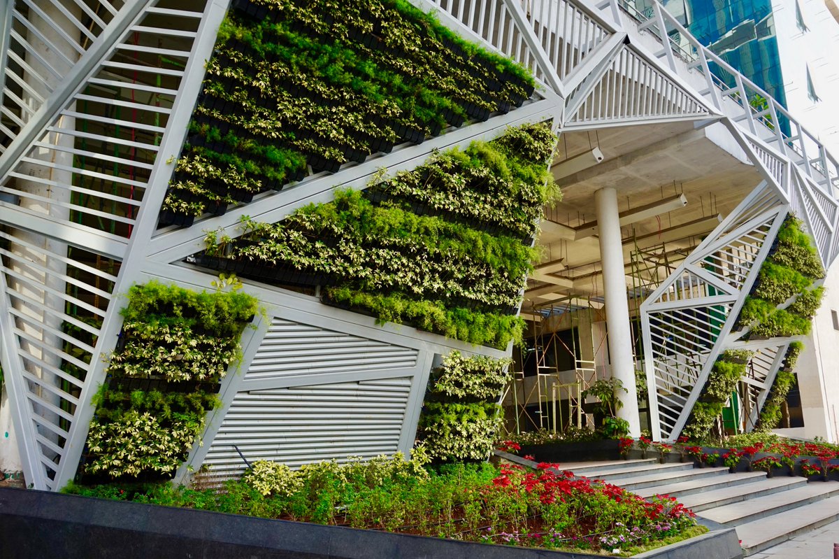 #Now is the time to give your home a Green Touch. Read about #Livingwalls / #GreenWalls & get a sustainable #facade #design for your dream construction.
Know More - wfmmedia.com/living-wall-cr…

#plants #GreenWall #Greens #dream #construction 
@NewsArch @livingplantwall @WACommunity