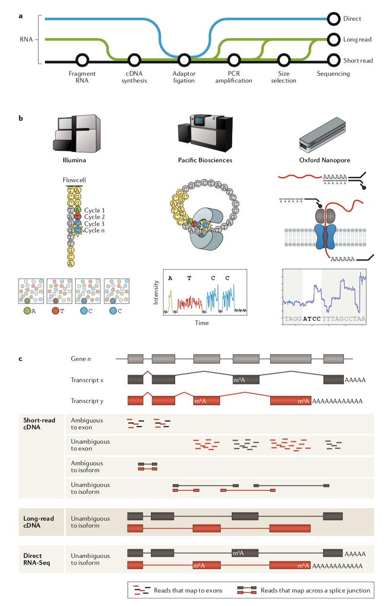 James Hadfield on Twitter ""RNASeq the teenage years" Fig1 short