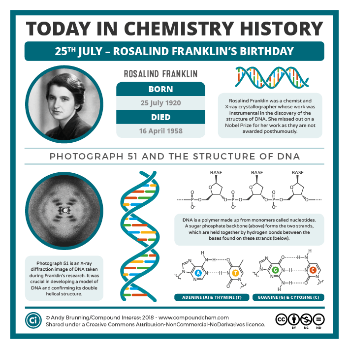 Nereide's tweet image. #RosalindFranklin was born #OTD in 1920. Her work on the #Xraydiffraction images of DNA led to the discovery of the #DNA's structure for which #Watson, #Crick and #Wilkins shared the Nobel Prize in 1962.  bit.ly/1QamP0Q 
#Infographic: bit.ly/2JRxGOk
#chemistry