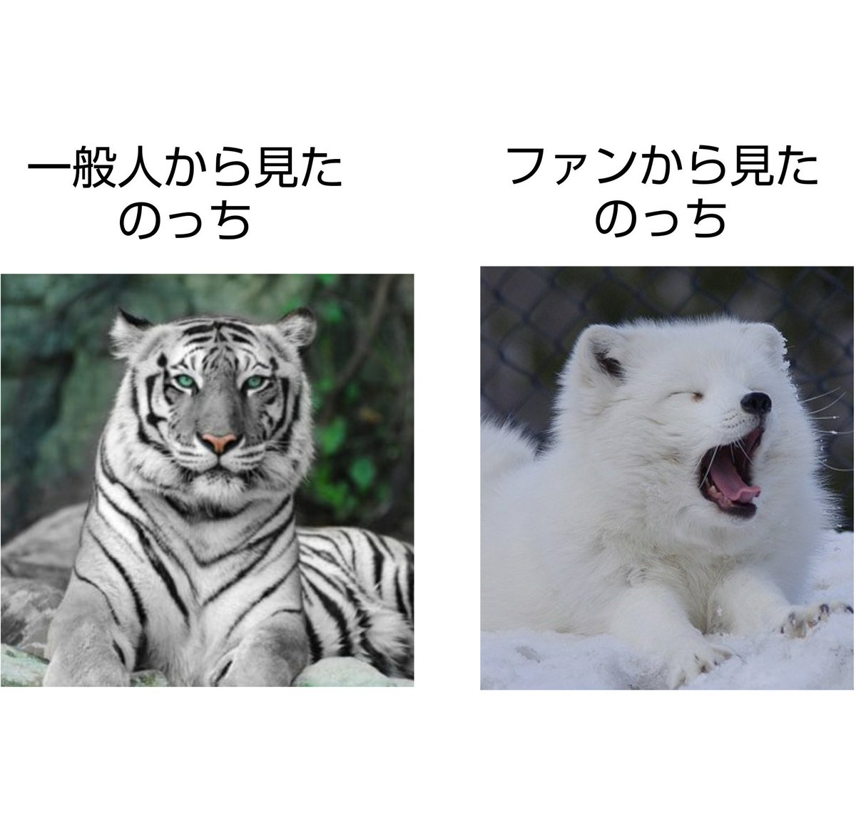 ようひち³⊿🍘 tweet media