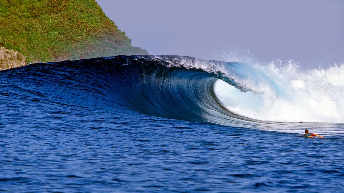 House of Beyond tweet media