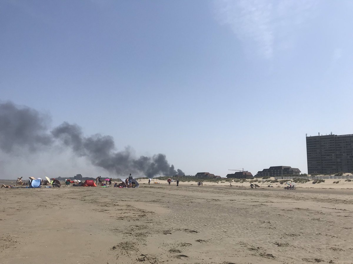 Elly Cools tweet media