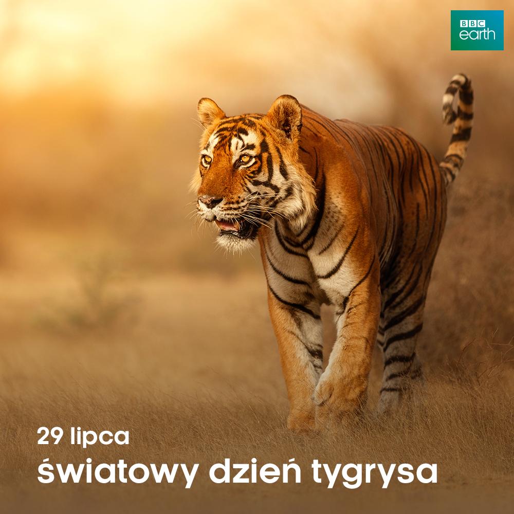 Wszystkiego najlepszego! ❤️
#BBCEarth