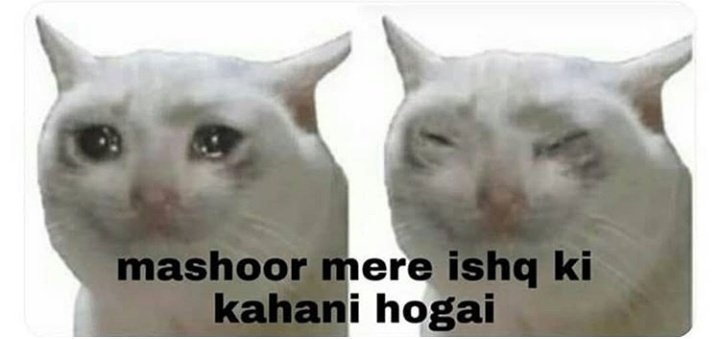 ASHSTUDIOS2's tweet image. Imam ul haq right now
#Imamulhaq 
#ashstudios