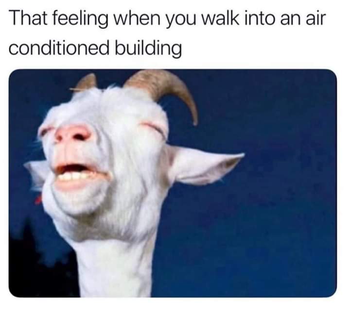 ☀🌡The air conditioning is on 😌

And when it comes to ice-cold drinks we have you covered with a huge selection of £2.50 drinks including.

🍹 cocktails,
🍺 draft beers &amp; ciders,
🍷 wines,
🥃 spirit &amp; mixer, 

Feeling hungry why not grab a 🍔 &amp; 🍟 + a drink 🥤 for £4 😋