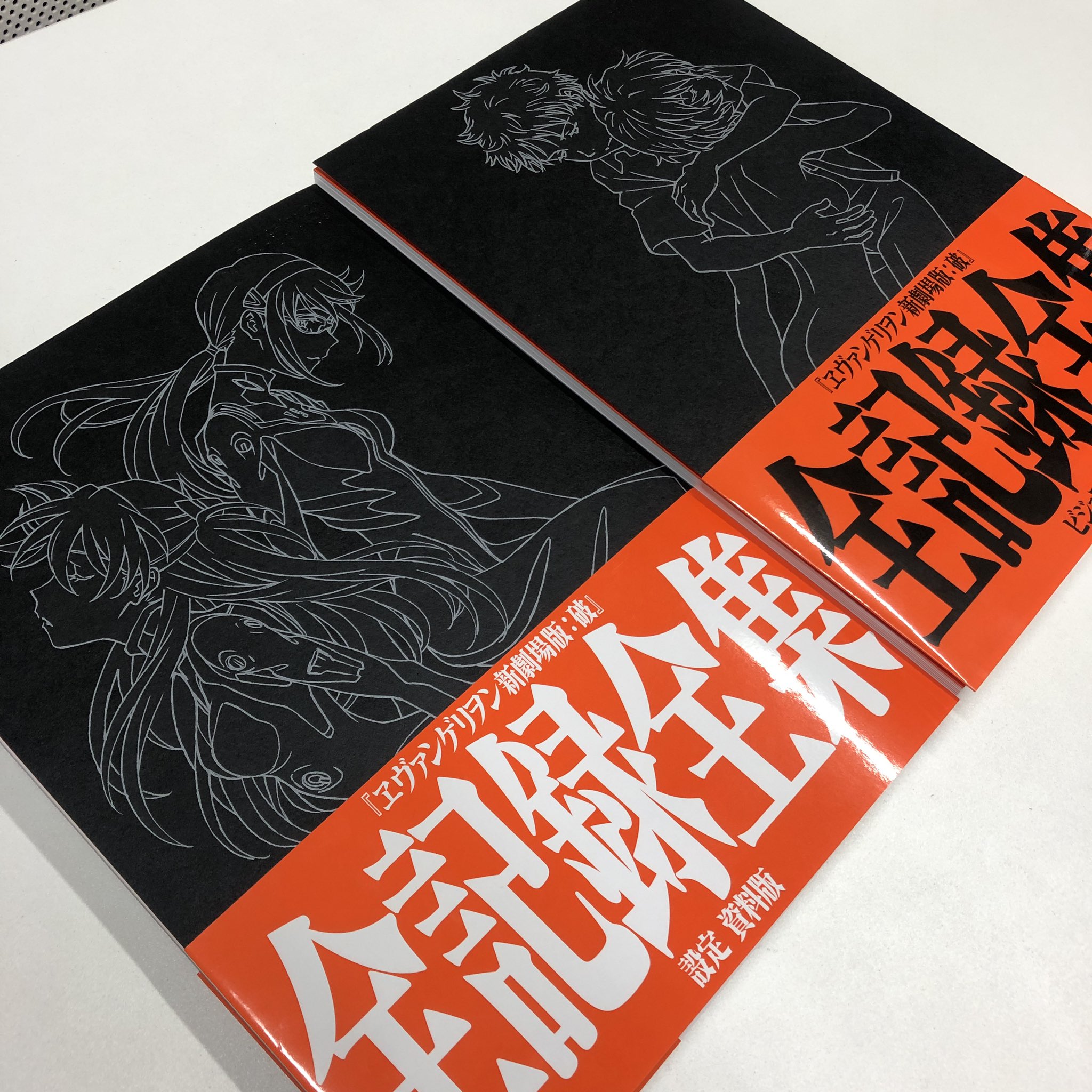 エヴァンゲリオン 新劇場版: 序破セット 全記録全集 - アート/エンタメ エヴァンゲリオン 新劇場版: 序破セット 全記録全集 - アート/エンタメ