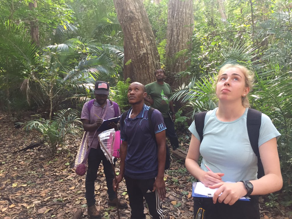 ZanzRedColobus's tweet photo. Early start for the entire @BangorUni team in Zanzibar. Headed to Camp Group for a concerted poo catching sesh https://t.co/3rMuFmYQJ1