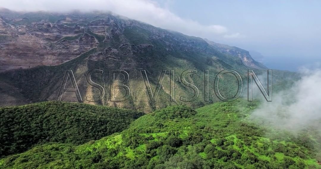 AsbVision's tweet photo. Shaat - شعت

#Shaat #Dhofar #Salalah #Oman #ASBVISION #ASB #photographer #ph_tag #omanpicturs #omanpicture #4k #hd #phantom4 #dji #oman_from_theSky #nature #drone #dronephotos #quadchopter #dronestagram #drone_countries
#شعت #ظفار #صلالة #سلطنة #عمان #عمان_من_السماء https://t.co/hnrnDESXua