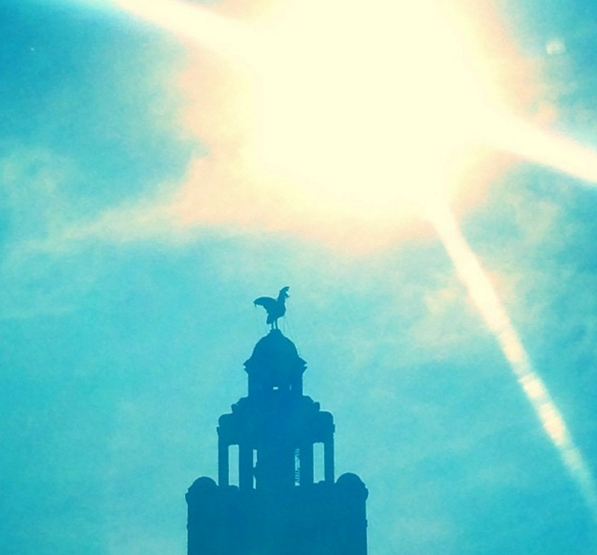 cloudstudentuk's tweet photo. Hottest day of the year and we are absolutely buzzing for it! ❤️🌞 We hope all of our students are enjoying the sunshine today and staying hydrated 😀🕶️🥤 #studentaccommodation #wecare #summerinliverpool #toohot #sunisout #heatwave #wearsunscreen #cloudstudenthomes https://t.co/3w8KWbumnH