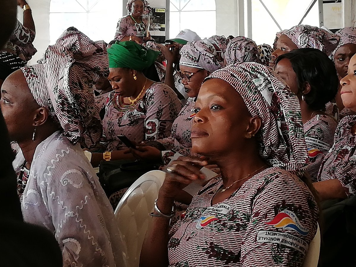 More photos taken at the fantastic festival of the #environment attended by members of the #Mali Elephant Project team in #Bamako last month.  Brilliant music and celebrations!