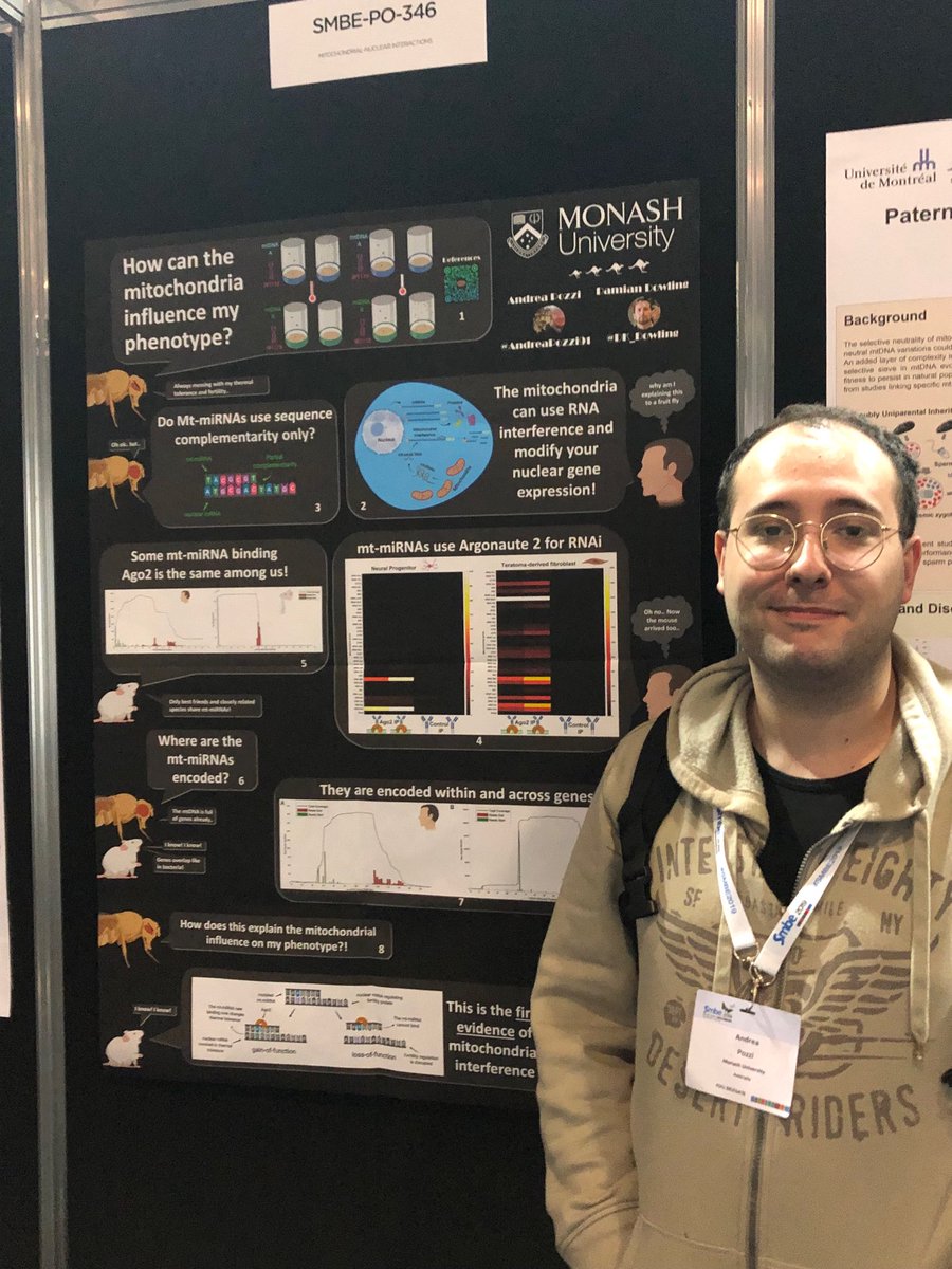 DK_Dowling's tweet image. ⁦@AndreaPozzi91⁩ with his amazing poster @SMBE2019 on functionality of small mitochondrial RNAs &amp;amp; involvement in RNA interference. #DowlingLab #MonashEvolution ⁦@MonashBiol⁩
