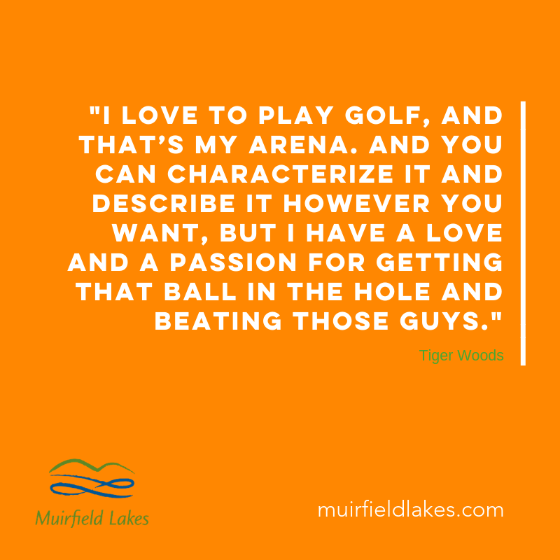 MuirfieldLakes's tweet photo. There's nothing wrong with feeding your love and your passion...
.
.
.
.
.
#golfhereforever #muirfieldlakes #lakesofmuirfield #tigerwoods #clubchampionship #yycgolf #golfyyc #thursdaythoughts #thoughfulthursday #calgarygolfers #lifeisbetterwithgolf #golflifestyle #golfquotes https://t.co/FaYyF1MHBh