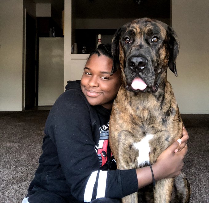 @syhunchoo My great dane, hes 10 months 💙 https://t.co/4m3KKjp7UE<a class="tags" target="_blank" title="On Twitter" href="/?out=eyJ0eXAiOiJKV1QiLCJhbGciOiJIUzUxMiJ9.eyJpYXQiOjE3MjU0MzEzOTcsImlzcyI6InR3cG9ybnN0YXJzLmNvbSIsIm5iZiI6MTcyNTQzMTM5NywiZXhwIjoxNzU2OTY3Mzk3LCJyZWRpcmVjdF91cmwiOiJodHRwczovL3R3aXR0ZXIuY29tL3N5aHVuY2hvbyJ9.2plK3UABzJV3NyKf9A_SEs6eT6C8T-tXUPxXKYz22Oxu0Tn1C52HjKDG28LNxh3qXsjCCGWeatPDyrgSWuNU4w">@syhunchoo</a><a href="/tag/newprofilepic"class="tags"><span>#newprofilepic</span></a>