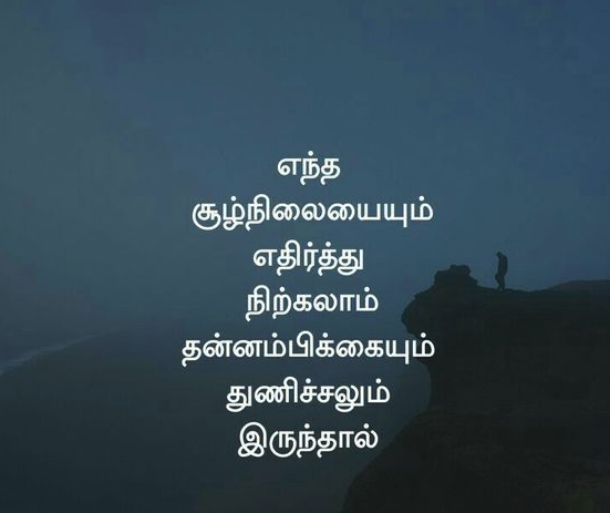 tamilquote_com's tweet photo. - புரூசு லீ
எந்த சூழ்நிலையிலும் எதிர்த்து நிற்கலாம்  தன்னம்பிக்கையும் துணிச்சலும் இருந்தால்...!!!
https://t.co/TDwNYsOgqx

#புரூசுலீ #தமிழ்நாட்டுவேசிஊடகங்கள் #தமிழ் #தமிழில்தான்பேசுவோம் #தமிழினப்போராளி80 #தமிழகம்காக்க_மரம்வளர்ப்போம் #தமிழனினப்போராளி80 #தன்னம்பிக்கை @Kozhiyaar https://t.co/SXf9A1lUqa