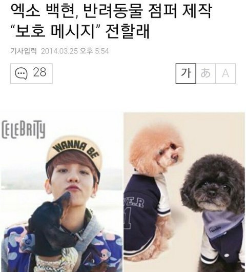 Baekhyun's one of dream is to open a dog shelter for stray dogs and he took part in campaign for protecting pets by designing clothes himself