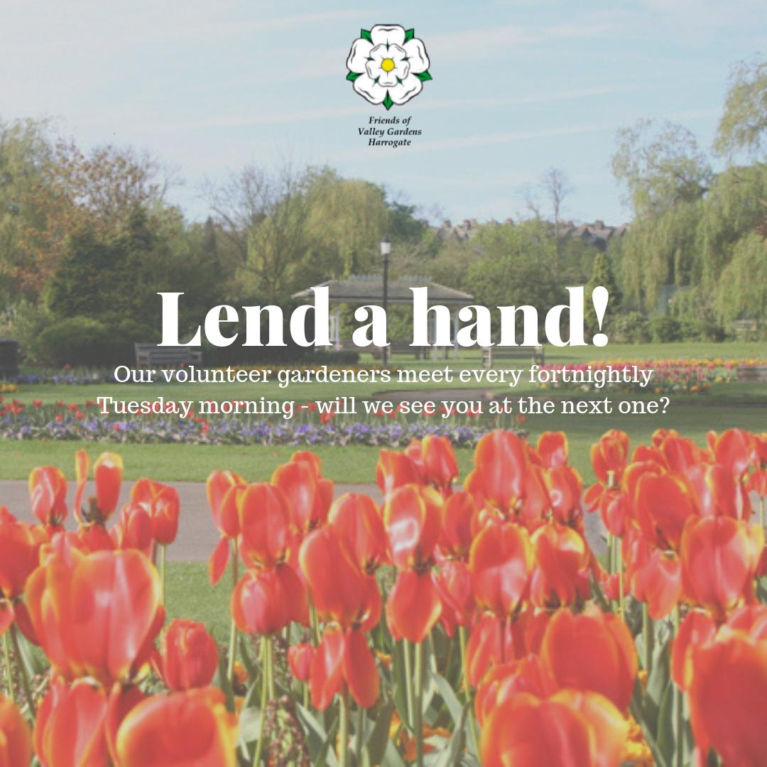 We'd love to welcome new helpers to Friends of Valley Gardens! Whether you'd be interested in gardening, giving tours, opening the Old Magnesia Well Pump Room, or something else, we'd love to hear from you!