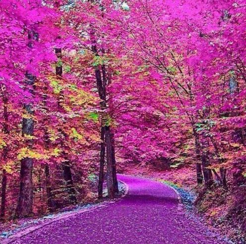 abooodelsayed's tweet image. 