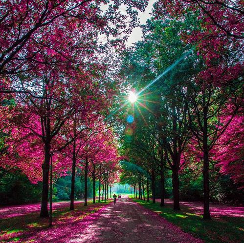 abooodelsayed's tweet image. 