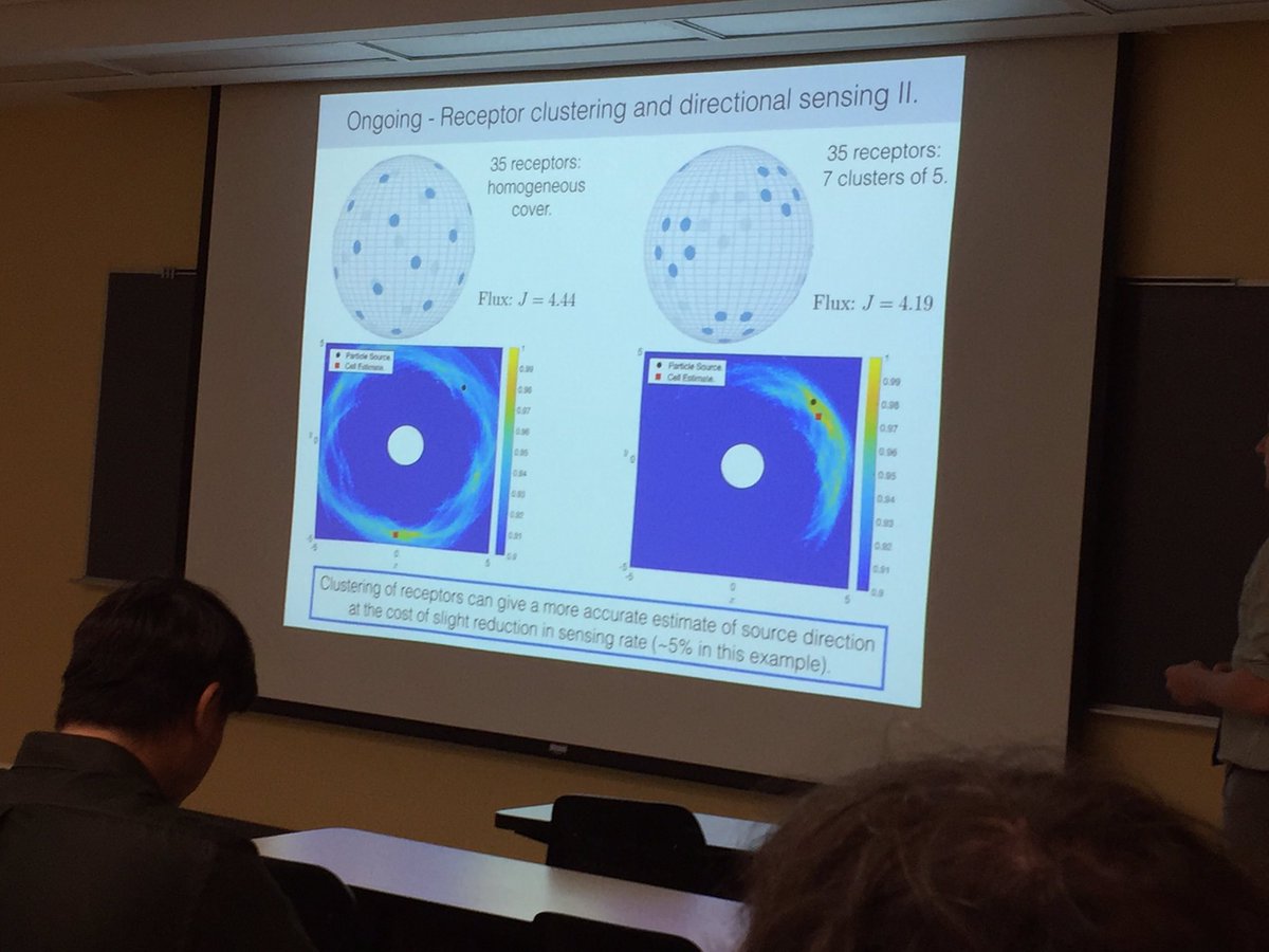 DuncanMartinson's tweet photo. Super belated I know - but here’s Alan Lindsey on Tuesday using mathematical modeling to predict optimal distribution of chemical receptors for transport/cell signaling. Turns out if a cell clusters receptors together, it can better determine the direction of incoming signals. https://t.co/JEZitvACGi