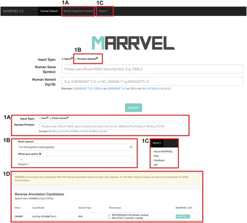 How can you identify which variants are pathogenic within human sequencing data? Try using Model organism Aggregated Resources for Rare Variant ExpLoration (MARRVEL)! Learn more in #CurrentProtocols in Bioinformatics: buff.ly/2y2pnsi <a href="/julawang/">Julia Wang, MD PhD</a> <a href="/MARRVEL_NRI/">MARRVEL</a> <a href="/ZhandongLiu/">Zhandong Liu</a>