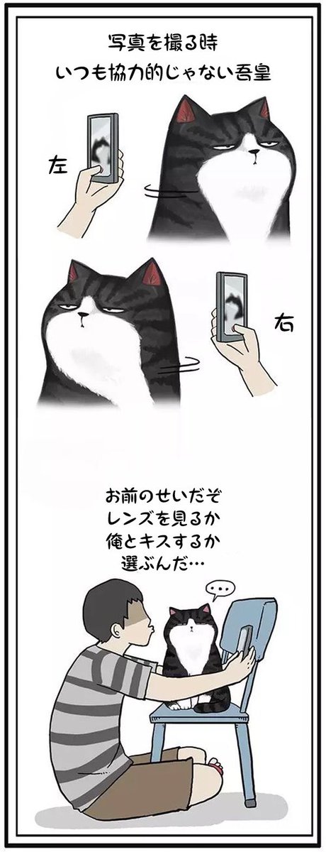 可愛くて大好きな猫ちゃんを、ついついパシャパシャしちゃう飼い主さんは沢山いますねよね?でも猫ちゃんは非協力的で、カメラに向いてくれません(';ω;`)
この冷遇に対して、少年は妙案があるらしいです。それでは、『吾が家の猫皇帝』の第12話をご覧ください!
@wuhuangwanshui 
#吾が家の猫皇帝 