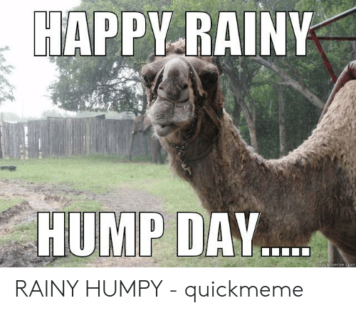 bidyuhan's tweet image. RT @CondoAssociates: Happy Humpday Everyone! And a rainy one at that :) #properymanagement #CondominiumAssociates #homes #HOA #memes