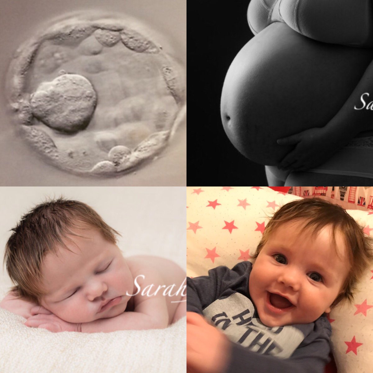 hopefulmummy83's tweet photo. Apparently it’s National Embryologist Day!
Thank you to the amazing embryology team at @CARE_Fertility Tunbridge Wells!
You started her off pretty well and I think I did a good job of carrying on the miracle!
#HappyEmbryologistDay
#EmbryologistDay
#CareFertility
#IVF
#solomum https://t.co/C88u3GWwGD