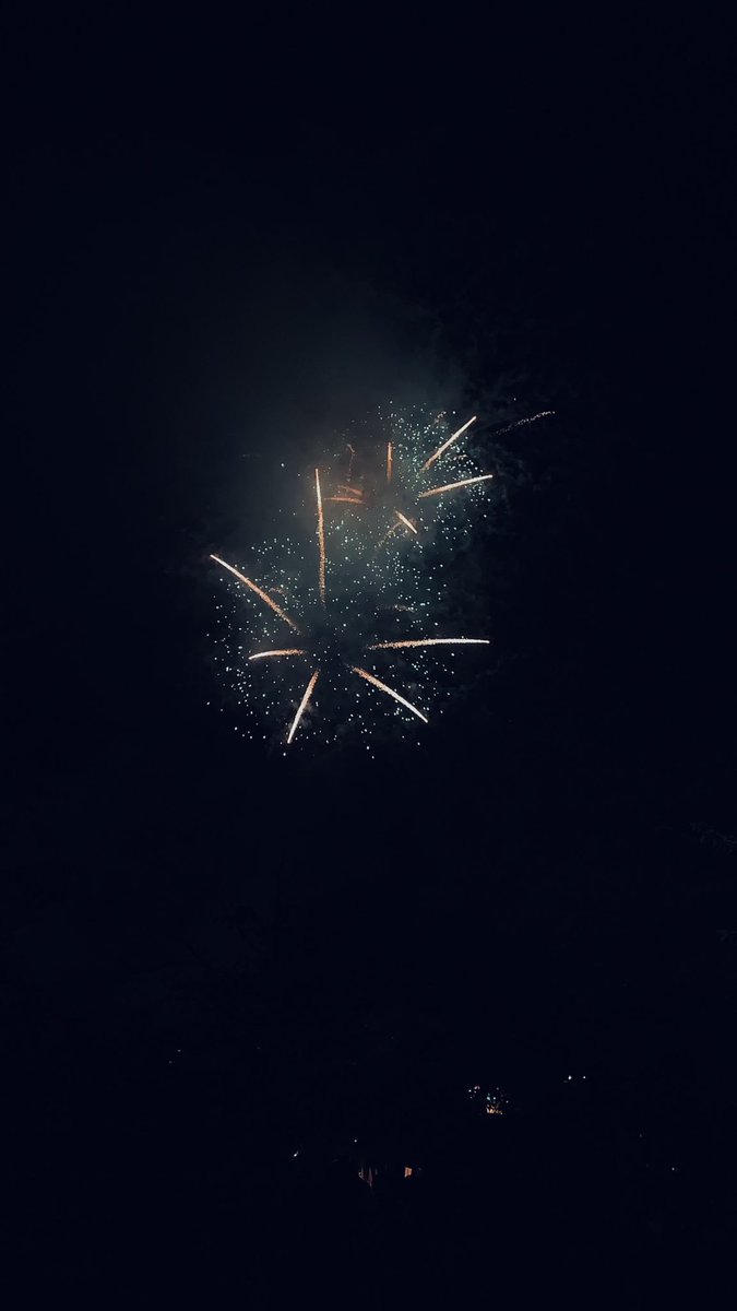 だゆ めっちゃすごい 天神祭行ってきた 花火も船も綺麗だった