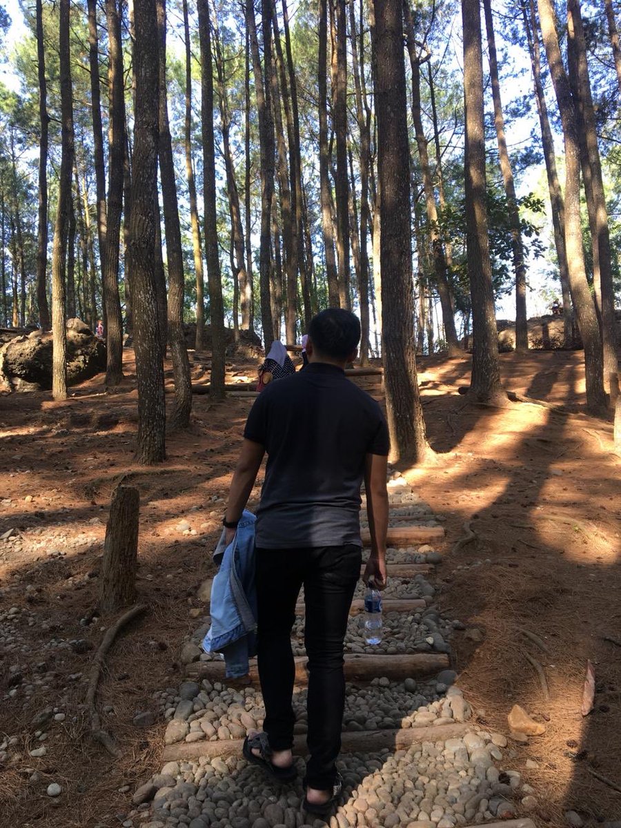 grocksclone's tweet image. Ayo!