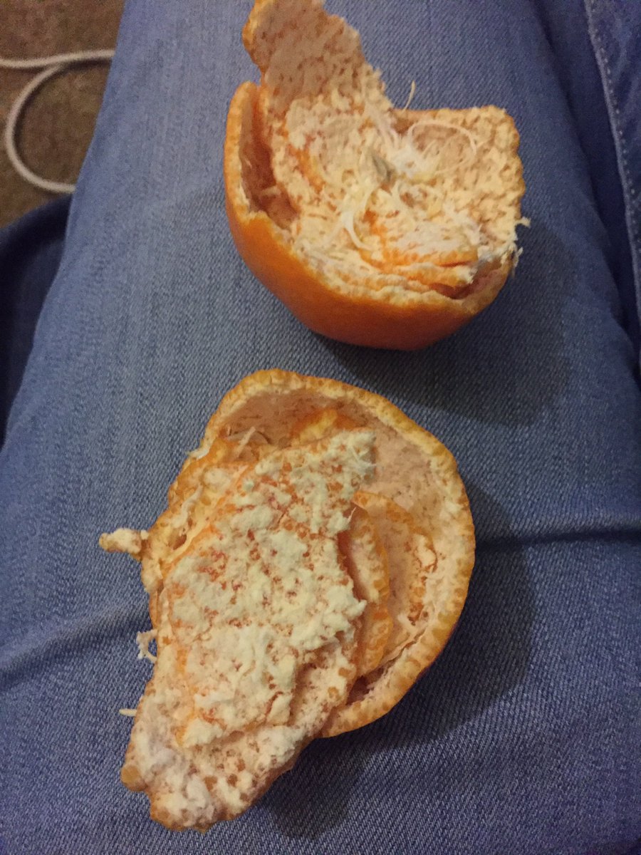 @evilscootus @nother_thing <a href="/sophoife/">Anna Campbell</a> <a href="/R_C_M/">Ric Morgan @riccm.bsky.social</a> #nom #mandarinclub #couchpeloton #toursnacks