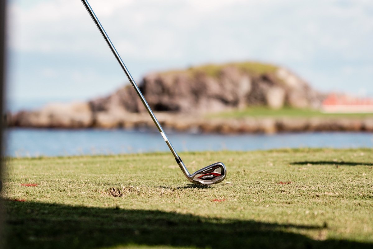 We are loving this view of the Tail of the Whale! 😉 🥂 ⛳ #VivaPuntaMita
