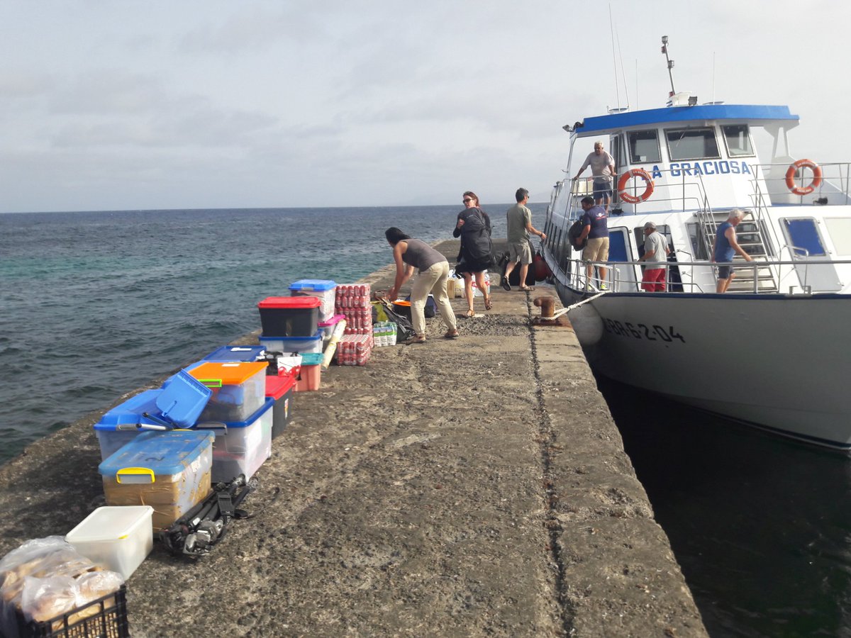 Woohoo! We made landfall on Alegranza. Fortunately the Spanish flag being torn of the boat was not a bad omen and contrary to last yr I didnt engage in involuntary shearwater chumming . Greeted by 4 falcons upon arrival. Now setting up camp. Good to be here!  #EF2019 [17/n]