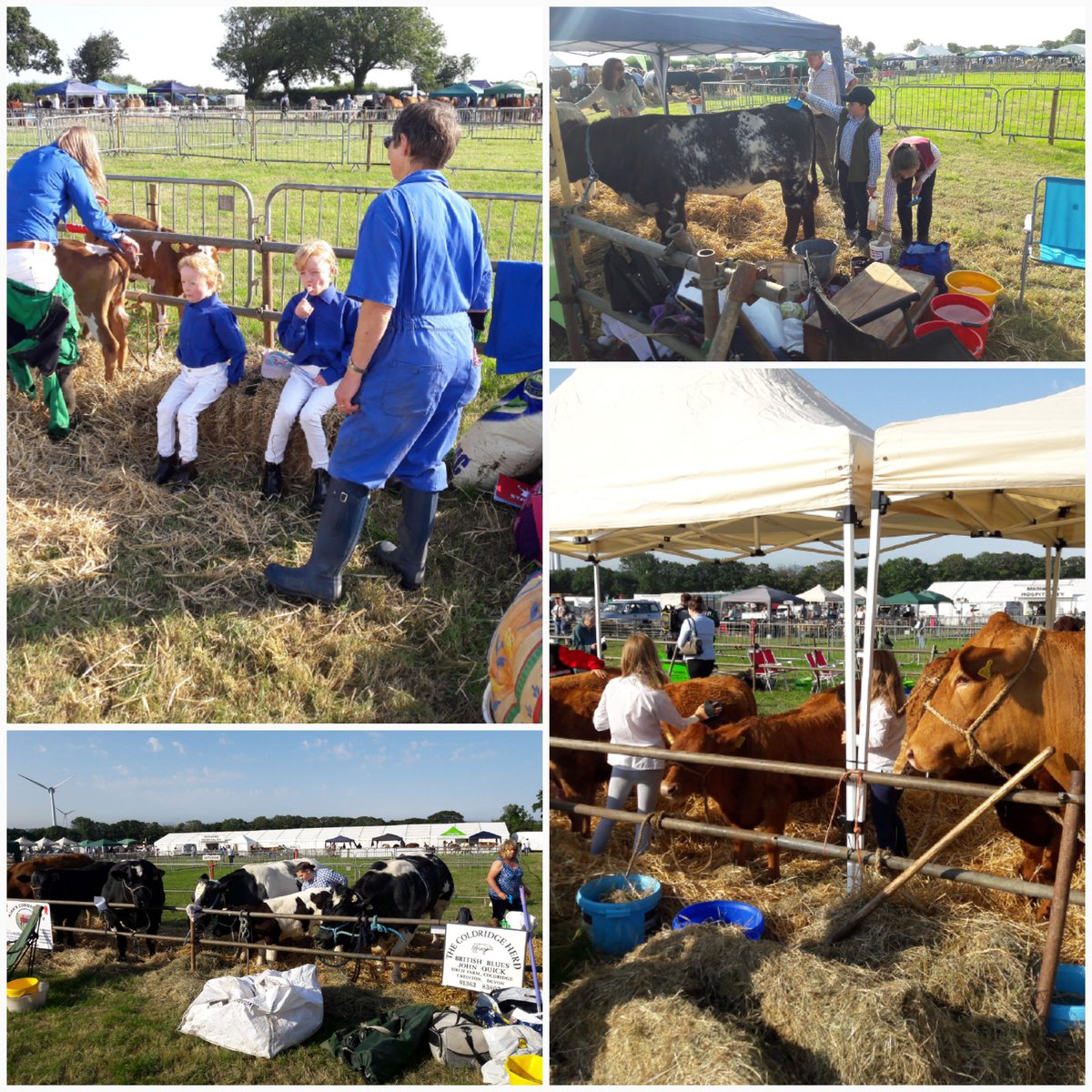 Andrew Ranson tweet media