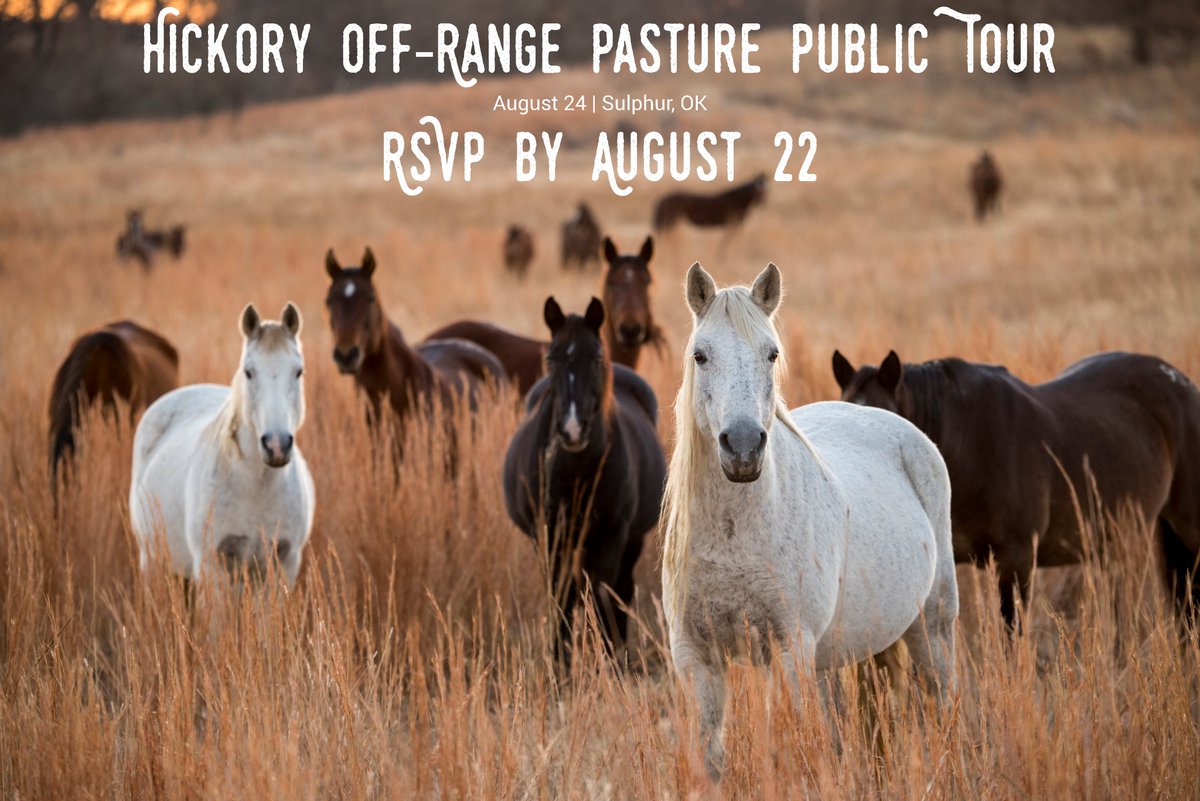 There are nearly 36,500 wild horses roaming more than 35,000 acres of private land contracted for their use in the High and Central Plains. Tour the Hickory pasture near Sulphur, OK on August 24. Sign up by August 22: go.usa.gov/xyA4p #MyPublicLandsSummer