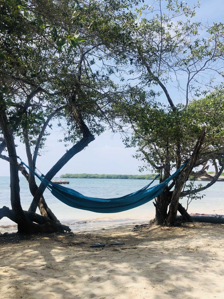 Eric Dussart tweet media