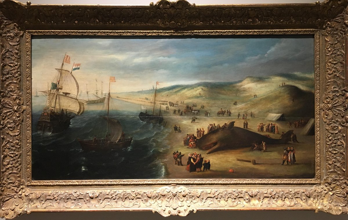 whalingmuseum's tweet photo. #GrindelwaldFluctuation -period during the first half of 17th century when climate of northern hemisphere was unusually chilly, resulting in increase of whale beachings off Holland coast. This phenomenon caused fascination and drew huge crowds. #DeWindIsOp https://t.co/eDpZrME5ay https://t.co/fzjkHM8Vmj