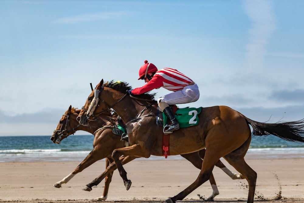 salthill_hotel's tweet photo. The biggest and best week of the year in Galway is fast approaching! We're ready for you. Who's joining us? #sunnysalthill #galwayraces #promtopaddock #summeringalway #galway https://t.co/iwijDMetpH