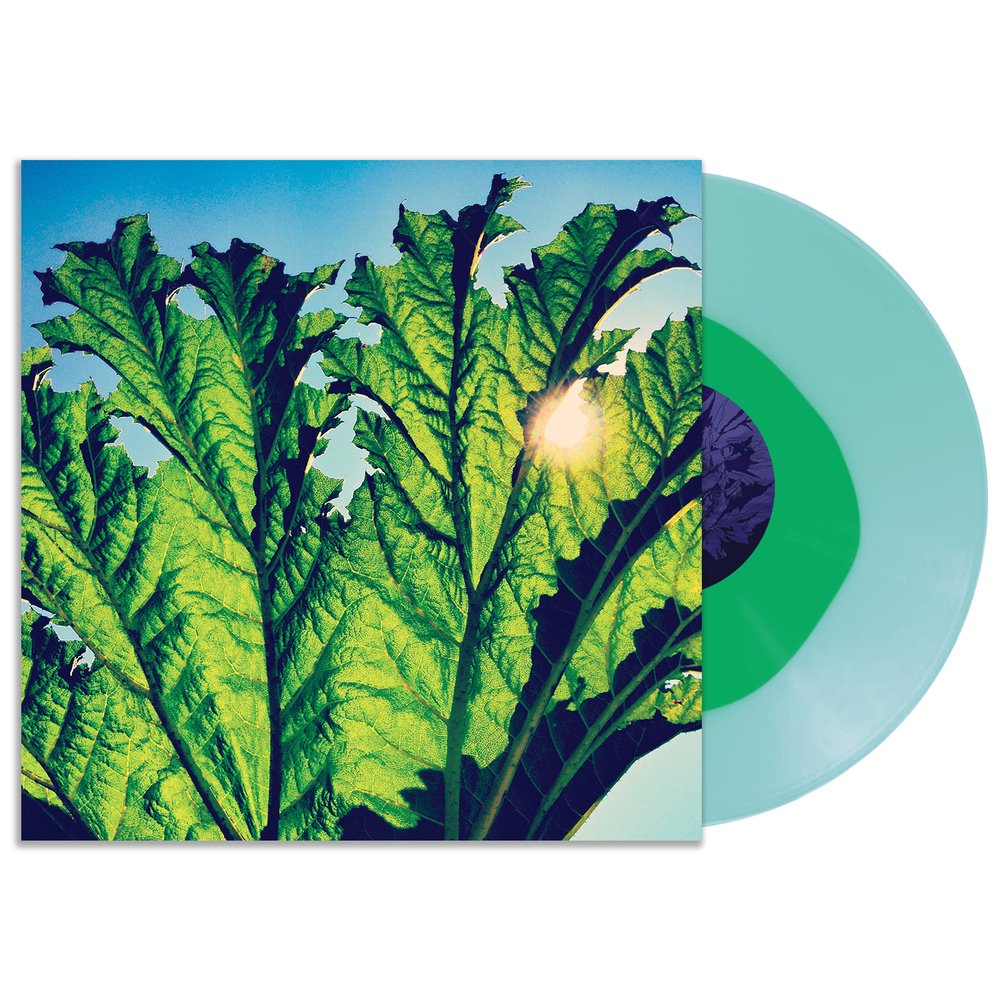 waddup yall! went through our inventory and found some leftover limited-edition green-in-blue Pfarmers Gunnera LPs (ltd to 250). Just threw them up on the store! jurassicpoprecords.com/releases/pfarm…