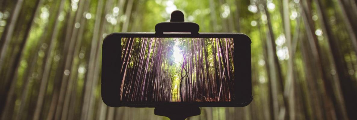 UNACanadaYEG's tweet photo. Showcase your local #ClimateAction or your #NatureBasedSolutions and get a chance to win a trip to #COP25 in Santiago de Chile! 

Submit a 3 min video to the Global Youth Video Competition in three categories.

More Info➡️: https://t.co/a5XjzJiIp5

@UNFCCC https://t.co/Cs4wyA64EH