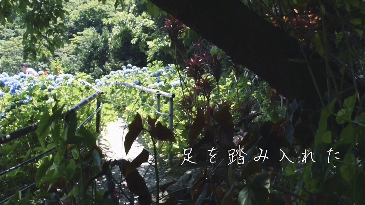 Pond0x0376's tweet photo. ๅ็ปๅฎๆใใใใฉupใฏๆๆฅ๐
ไปๅใฏๆข
้จใฎ่จ้ฒโก๏ธโก๏ธ
#YouTube #vlog #svlog https://t.co/Sl3P1KbRGC