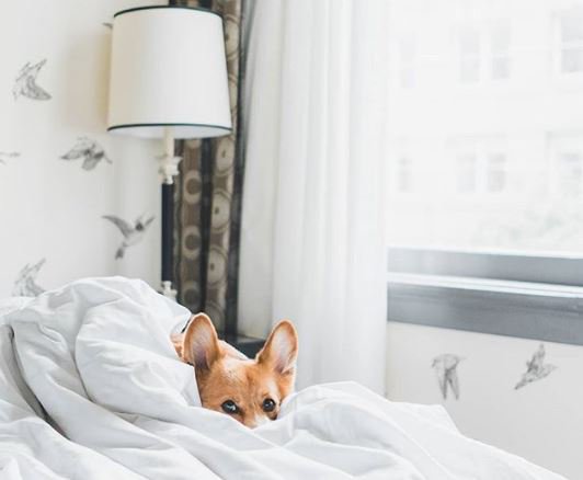 Kimpton's tweet image. Caption this photo for your chance to win a prize. We'll announce a winner tomorrow, good luck!